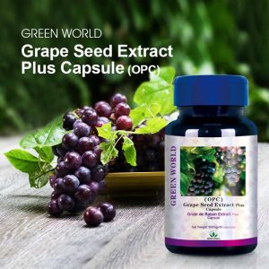 Grape Seed Extract Plus Capsule (OPC)