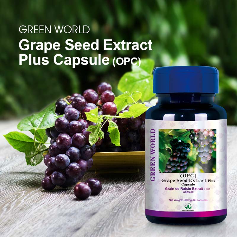 Grape Seed Extract Plus Capsule (OPC)