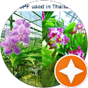 oladeji olaoluwadamilare (Ddarey7) profile picture